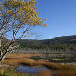 Fall Colors at Upper Hadlock Pond